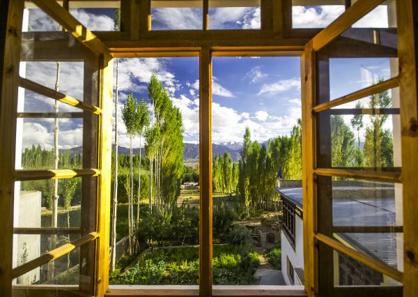 Cost of Wood Window Replacement in Franklin